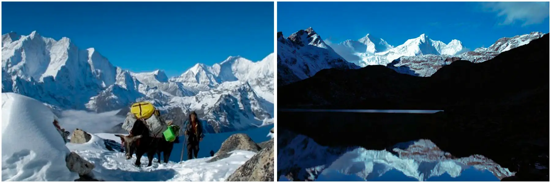 kharta-valley-khangshung-face-trekking