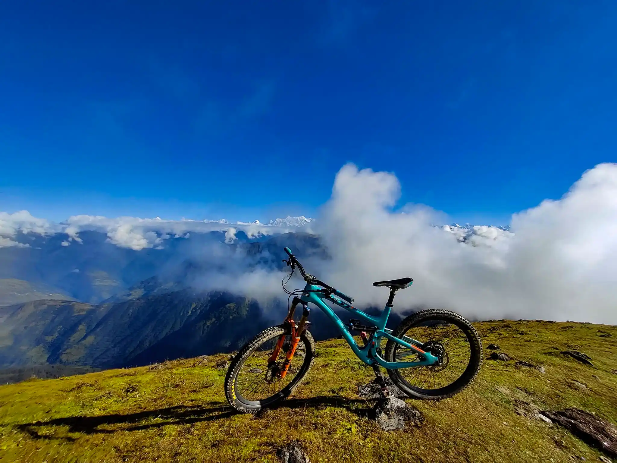 Low Mustang Mountain biking