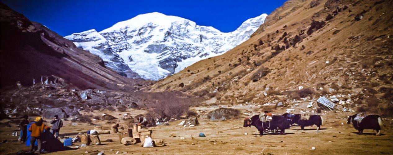 bhutan-chomolari-trek