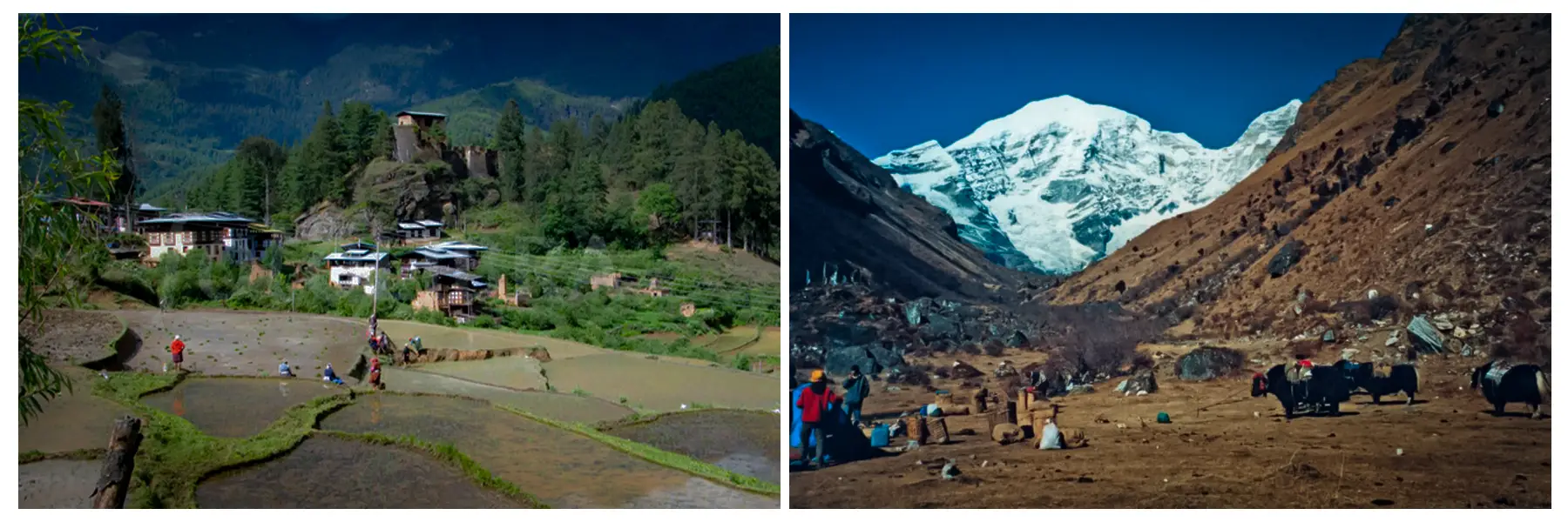 bhutan-chomolhari-trek