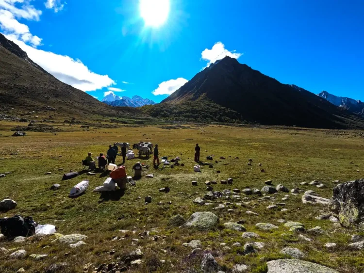 Trekking crew resting with pack horses and expedition gear in a high alpine meadow of Changla Valley under bright mountain sun