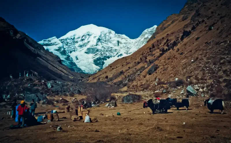 chomolhari-bhutan-trek
