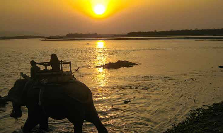 Jungle Safari in Chitawan National Park
