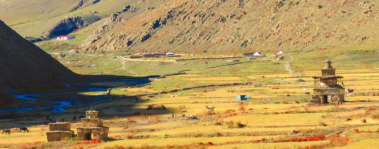 lower-dolpo-village-trek