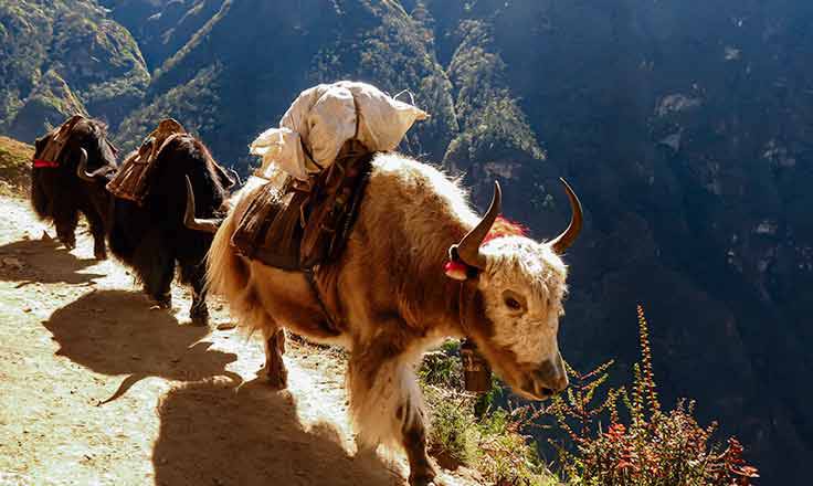 Lukla to Namche Trek Lukla to Namche Trek