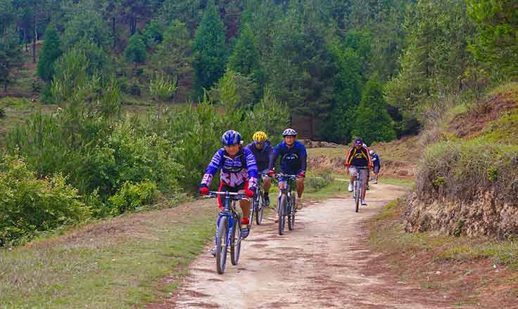 Mountain Biking Day Tour Mountain Biking Day Tour