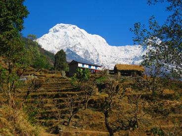 Poon Hill Trek Poon Hill Trek