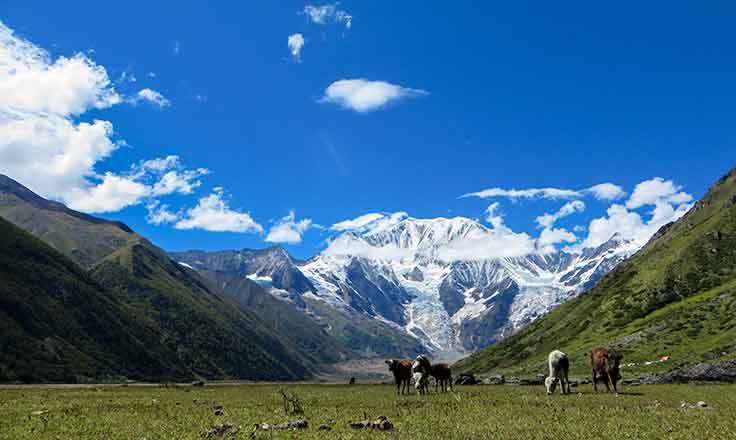 Saipal Base Camp Nature Trail