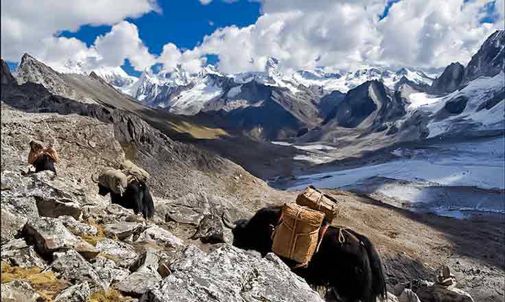 Snowman Bhutan Trek Snowman Bhutan Trek