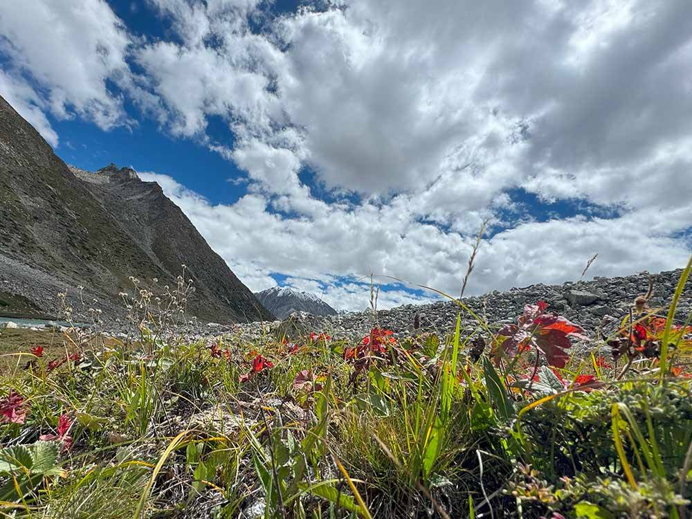 Chang Valley Trek – Via Tamgim Chang Valley Trek – Via Tamgim