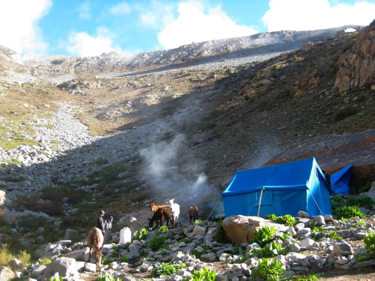 Campsite in Upper Humla during the Kailash Upper Humla Circuit Trek