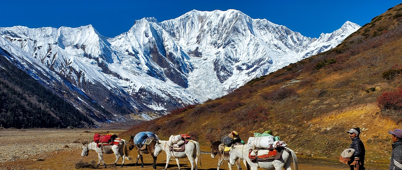 saipal-himal-base-camp-trek