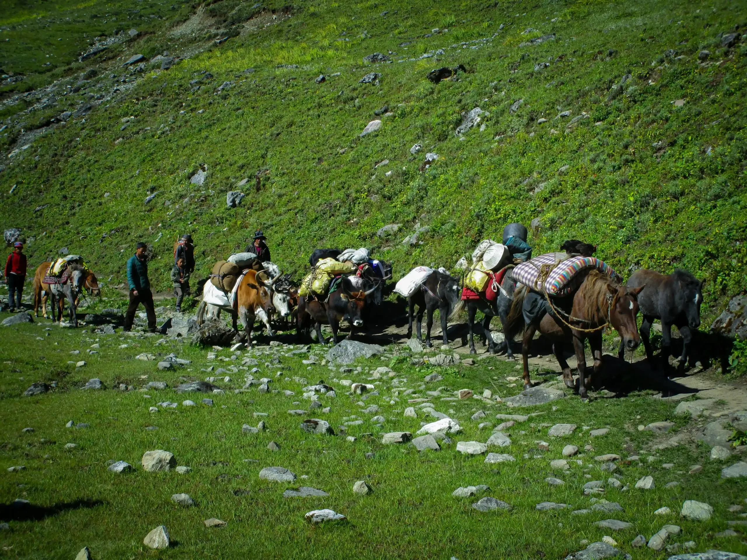 saipal-himal-trek