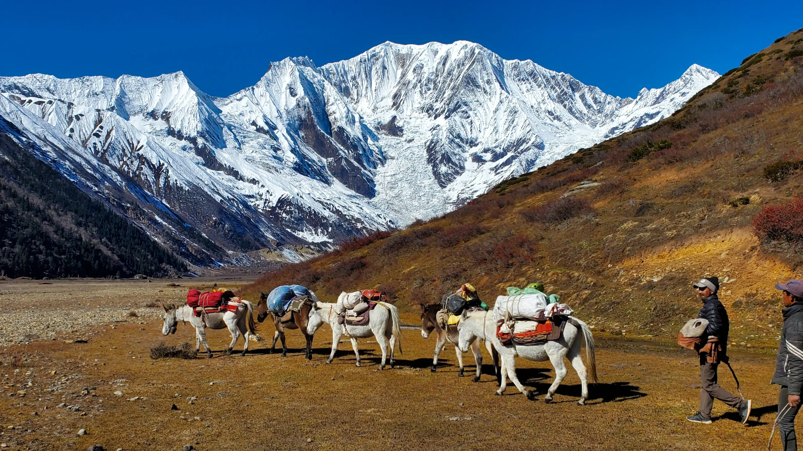 saipal-himal-base-camp-trek