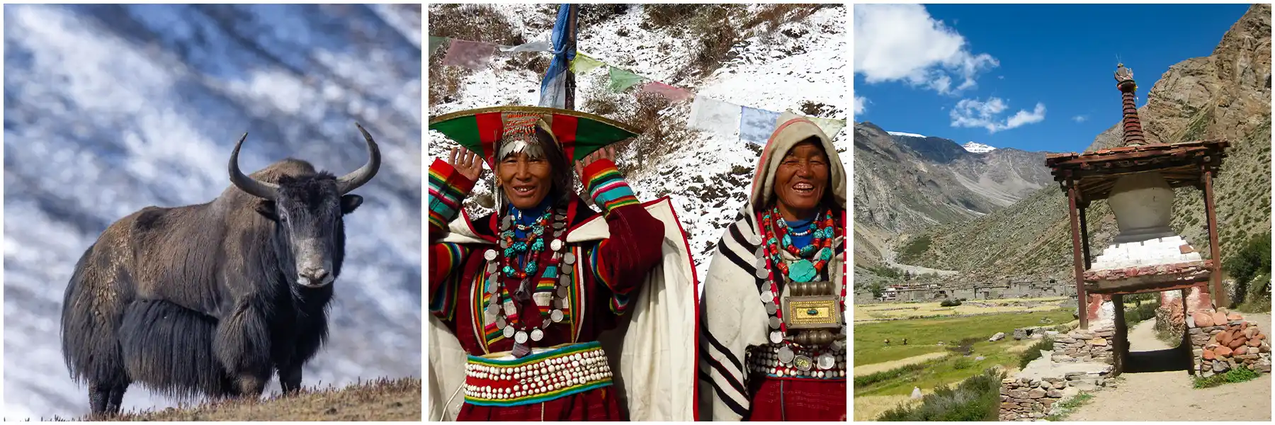 humla-region-banner humla-region-banner