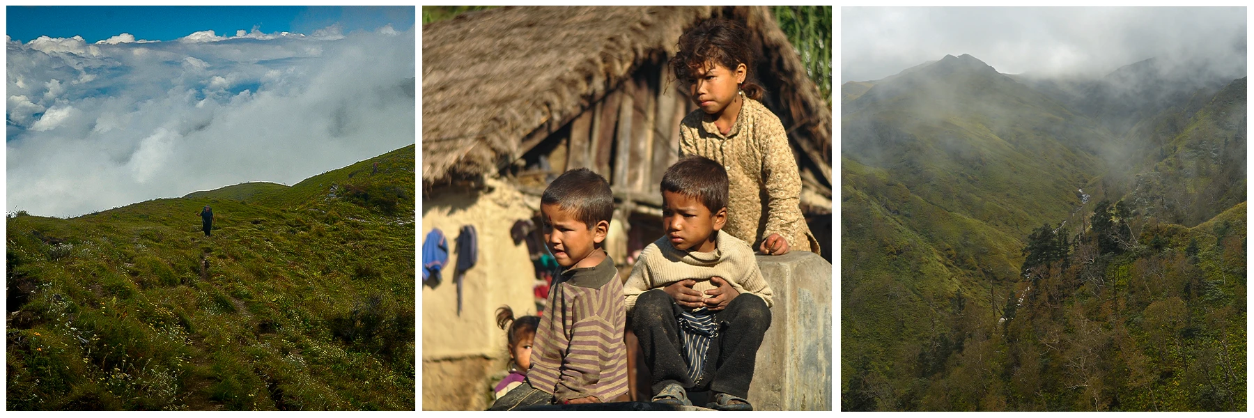 wild-far-west-region