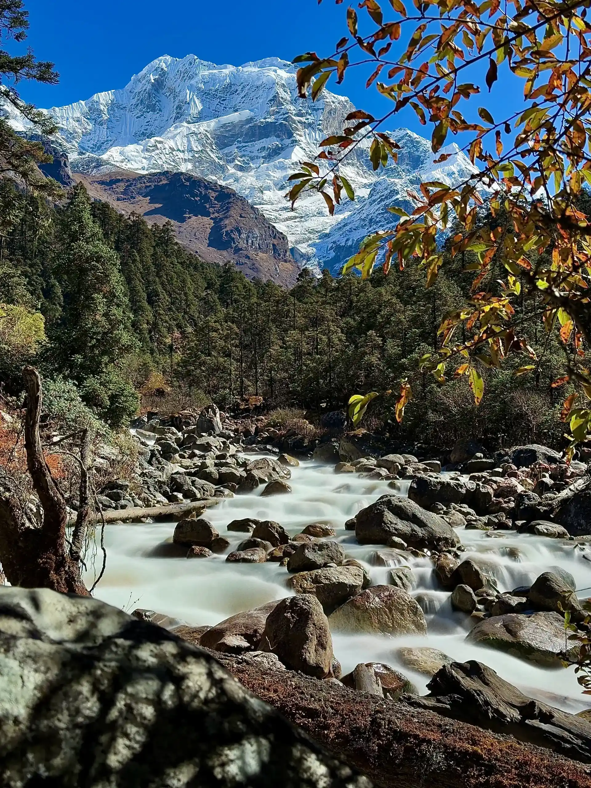 manaslu-circuit-treks manaslu-circuit-treks