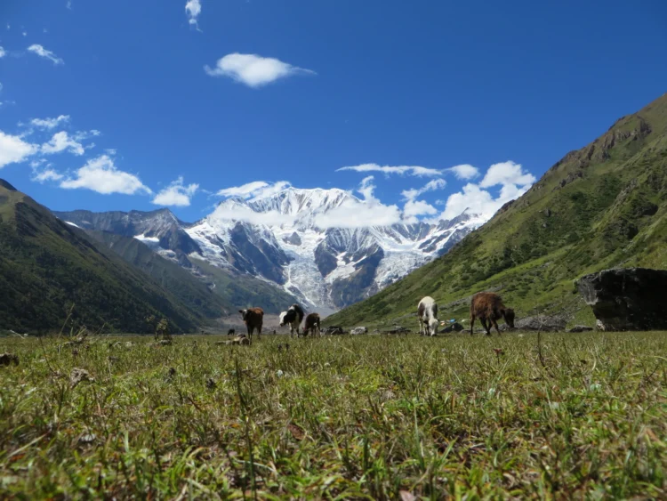 Hidden Valleys in Nepal